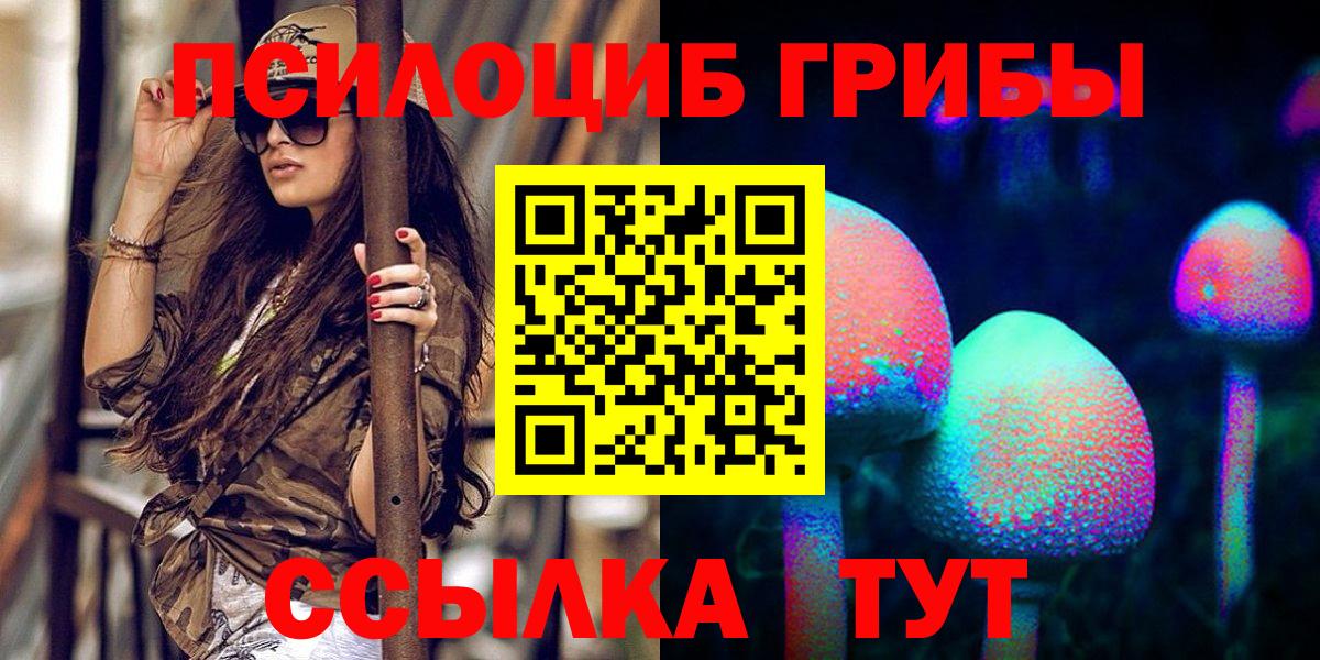 Сорочинск  Галлюциногенные грибы прущие грибы  Вход с VPN  Псилоцибиновые грибы Psilocybe 
