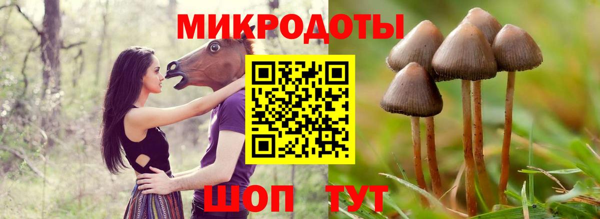 Галлюциногенные грибы Magic Shrooms Сорочинск