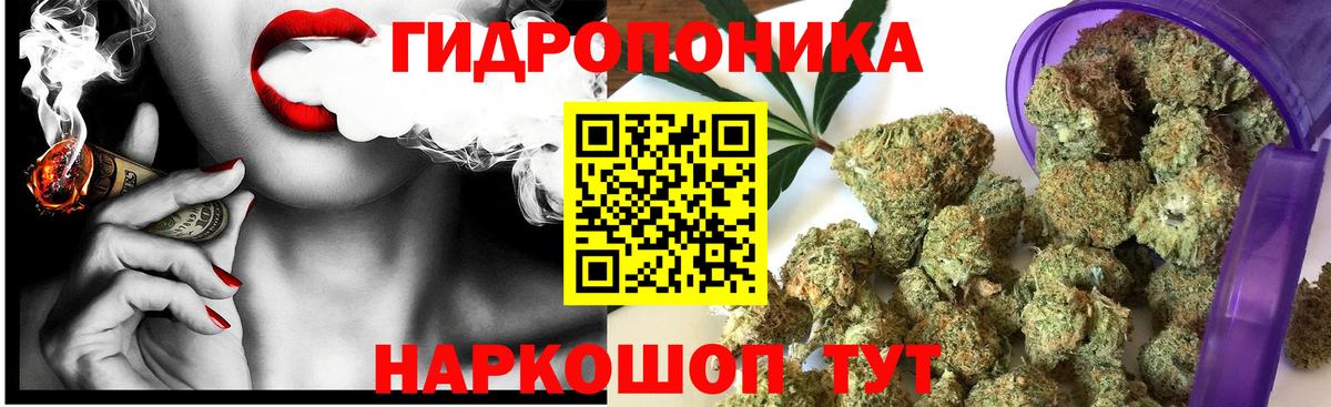 Шишки марихуана план  Вход с VPN  Шишки марихуана MAZAR  Бошки марихуана LSD WEED  Шишки марихуана сатива  Сорочинск 
